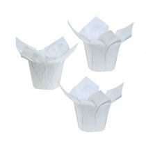 Fioriere di carta Bianco Ø8cm 12 pezzi