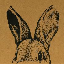 Sacchetto regalo Sacchetto di carta pasquale coniglietto marrone 12×6×15cm 8 pezzi