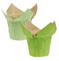 Vaso di carta Ø12cm H9cm verde assortito. 8 pezzi