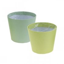 Vaso di carta, mini vaso per piante, cachepot blu/verde Ø9cm H7.5cm 4pz