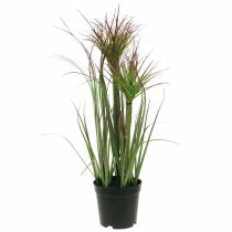 Erba artificiale in vaso Verde, rosso porpora 45 cm