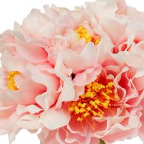 Paeonia peonia fiore artificiale Peonie rosa Ø6cm 28cm 7 pezzi