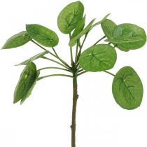Peperomia Pianta verde artificiale con foglie 30cm