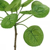 Peperomia Pianta verde artificiale con foglie 30cm