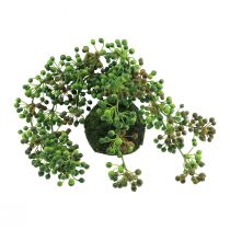 Prodotto Filo di perle artificiali di piante verdi in palline di muschio 38 cm