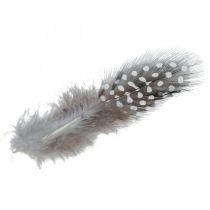 Prodotto Piume di faraona 10g Marrone chiaro