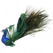 Uccello del paradiso, pavone da agganciare, uccello piuma, decorazione uccello blu, verde, colorato H8,5 L29cm