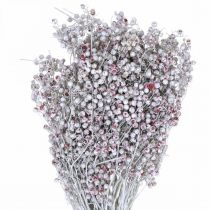 Prodotto Bacche di pepe innevato, decorazione invernale, fiori secchi, Avvento, pepe rosa bianco lavato 170 g