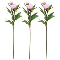 Prodotto Fiori artificiali di peonia rosa con gambo lungo 70 cm 3 pezzi