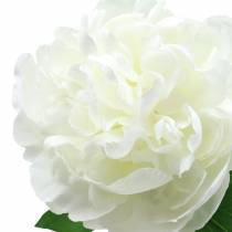 Peonia bianca 72 cm