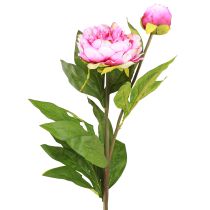Prodotto Peonie Fiori artificiali a stelo lungo Rosa 70 cm 3 pezzi