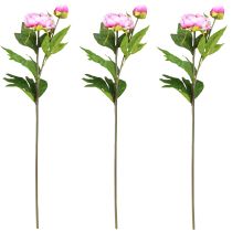 Prodotto Peonie Fiori artificiali a stelo lungo Rosa 70 cm 3 pezzi