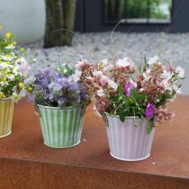 Prodotto Secchio per piante, vaso in metallo con manici, fioriera decorativa per piantare rosa/verde/giallo shabby chic Ø12cm H10cm set di 3