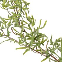 Prodotto Ghirlanda di asparagi per decorazioni festive e occasioni eleganti, 170 cm