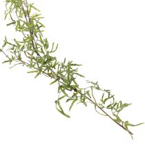 Prodotto Ghirlanda di asparagi per decorazioni festive e occasioni eleganti, 170 cm