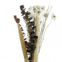 Mazzo di fiori secchi con scatola fai da te bianca di eucalipto H30-35cm