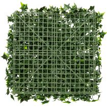Prodotto Tappeto di edera artificiale verde 60x60 cm per decorazione murale