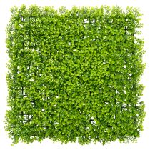 Prodotto Tappeto di bosso artificiale 55x55 cm per decorazione murale