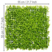 Prodotto Tappeto di bosso artificiale 55x55 cm per decorazione murale