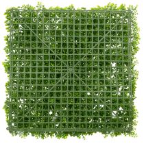 Prodotto Tappeto di bosso artificiale 55x55 cm per decorazione murale