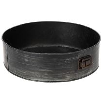 Prodotto Fioriera, teglia decorativa, stampo a cerniera per piante, decorazione in metallo Ø24cm H7.5cm