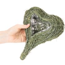 Prodotto Cuore di pianta naturale per composizioni floreali con lamina, 25 cm
