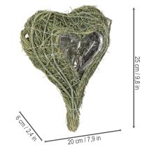 Prodotto Cuore di pianta naturale per composizioni floreali con lamina, 25 cm