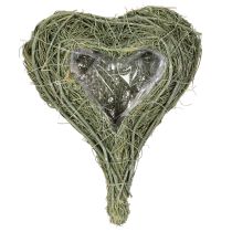 Prodotto Cuore di pianta naturale per composizioni floreali con lamina, 25 cm