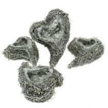 Prodotto Pianta cuore di vite 15 cm x 23 cm x 5 cm bianco 4 pz