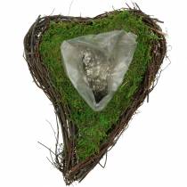 Pianta vite cuore, muschio 26×36 cm H9 cm