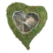 Plant Heart Verde Muschio Ciotola per piante cuore 26×30×8cm