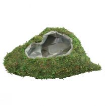 Plant Heart Verde Muschio Ciotola per piante cuore 26×30×8cm