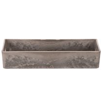 Prodotto Vassoio rettangolare compatto, versatile per decorazione e coltivazione, 23 cm