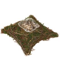 Prodotto Cuscino per piante con muschio e tralci, ciotola naturale 20×20×6,5 cm