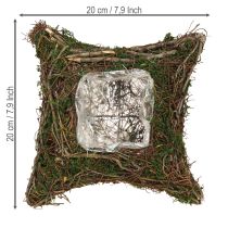 Prodotto Cuscino per piante con muschio e tralci, ciotola naturale 20×20×6,5 cm