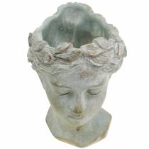 Prodotto Testa di pianta busto grigio-blu Ø8cm H15cm