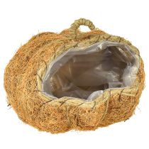 Prodotto Cestino per piante zucca decorazione autunnale arancione Ø22cm H17cm