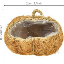 Prodotto Cestino per piante zucca decorazione autunnale arancione Ø22cm H17cm