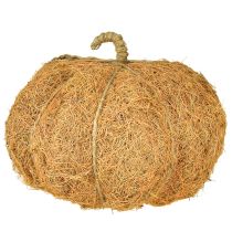 Prodotto Cestino per piante zucca decorazione autunnale arancione Ø22cm H17cm