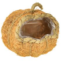 Prodotto Cestino porta piante zucca con decorazione autunnale in lamina arancione Ø18cm H15cm