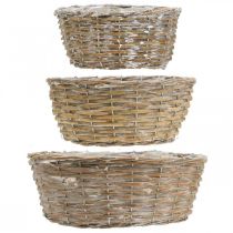 Prodotto Set di 3 cestini in vimini, fioriere, cestini decorativi, stile vintage sbiancato, Ø21,5/26/31 cm per casa e giardino