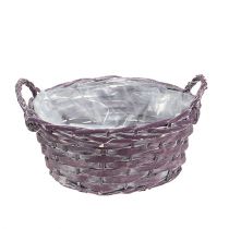 Cesto per piante rotondo viola scuro Ø20cm H10cm