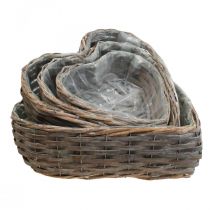 Cesto per piante cesto decorativo a forma di cuore pianta cuore salice set di 4