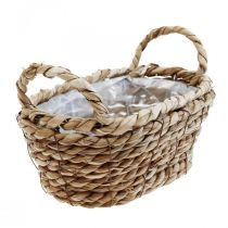 Cesto In Vimini Naturale 45x35cm | Portaoggetti Multiuso | Per Piante, Decorazione Casa E Spiaggia - Foto 7