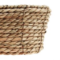 Cesto per piante cesto di alghe cesto decorativo ovale 32×19×12 cm