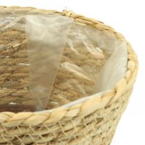 Cesto per piante fioriera cesto di alghe deco natura Ø19cm H16cm