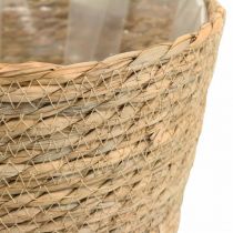 Cesto per piante fioriera cesto di alghe deco natura Ø23cm H20cm