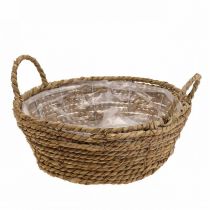Cesto per piante cesto rotondo in posidonia con manici cesto decorativo Ø25cm H9cm