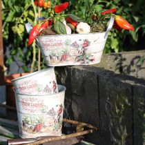 Prodotto Vaso per piante vaso per fiori rotondo in metallo Fresh Garden H21cm