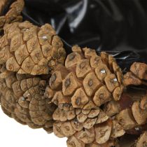 Prodotto Ciotola per piante coni veri ciotola conica naturale Ø28cm H9cm